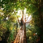 Experience adventure walking on a bridge through Thailand's vibrant green forest.