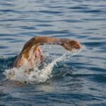 A male swimmer performing freestyle stroke in open water, creating splashes.